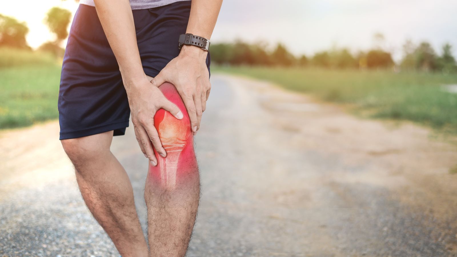 Knee Pain